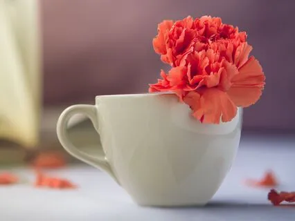 Breathing For Anxiety & Muscle Tension Relief