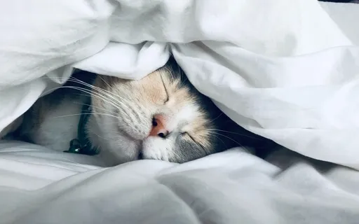 Breathing For Calm And Clarity