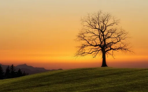 Breathing For Clarity & Calm