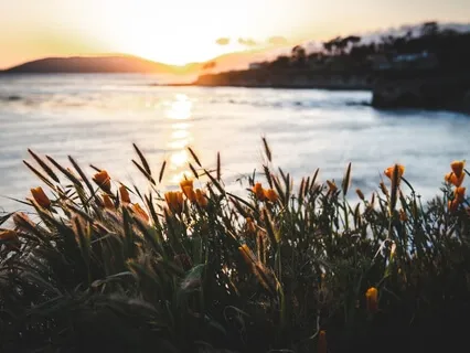 Breathing For Cleansing Your Mind