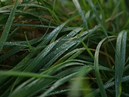 Breathing For Energy