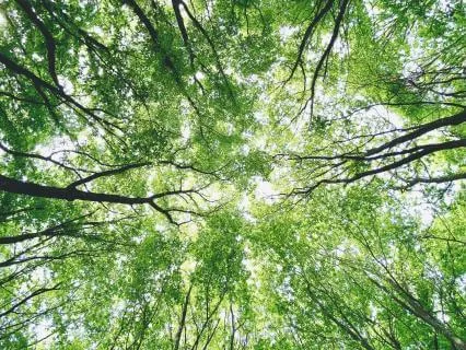 Breathing For Health Worries