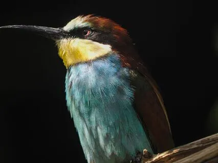 Breathing For Joy And Divine Love