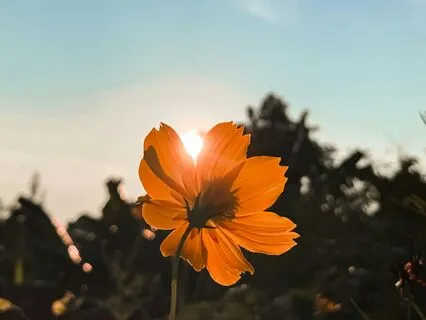 Breathing For Mindfulness