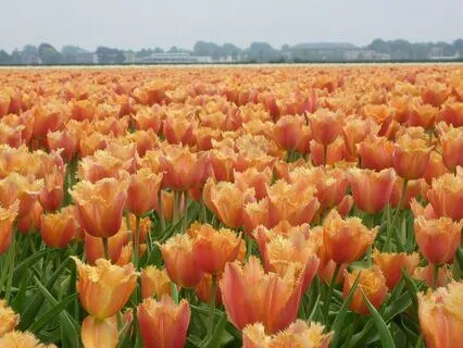 Breathing For Pelvic Floor Relaxation