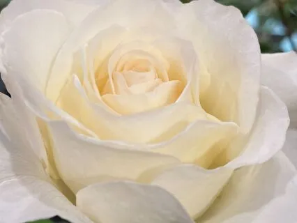 Breathing For Sleep: Guided 4-7-8 Practice