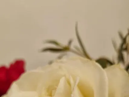 Breathing For Well-Being : Conscious Breathing