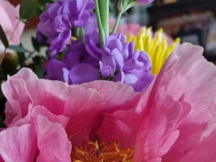 Breathing For Well-Being - Evening Relaxation