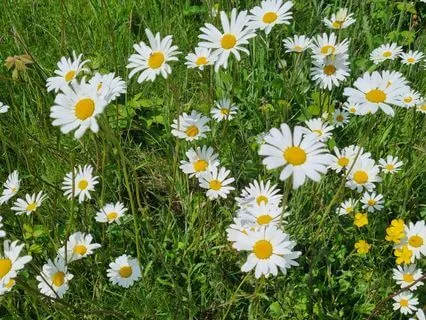 Breathing For Well-Being: Morning Breathwork For Vitality