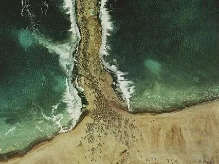 Breathing From Constriction To Freedom