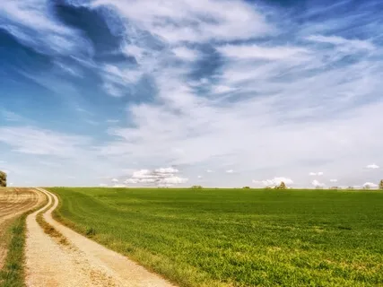 Breathing From The Heart