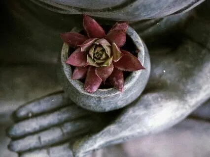 Breathing Harmony - Counted Breathing Meditation