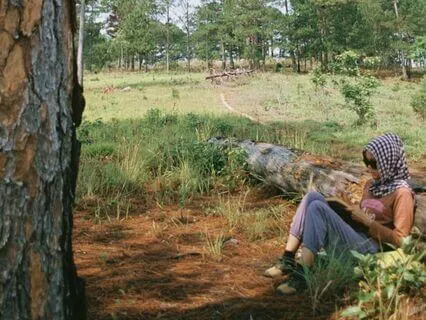 Breathing In Breathing Out (Plum Village - Betsy Rose)