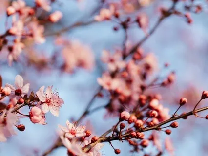 Breathing In Breathing Out