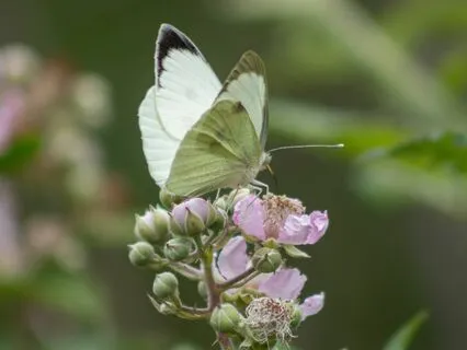 Quick Stress Relief – Release Overwhelm With Chimes