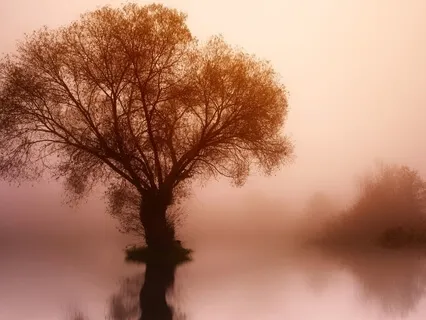 Breathing In Five Elements