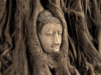 Breathing In From The Ground, Resting On The Earth