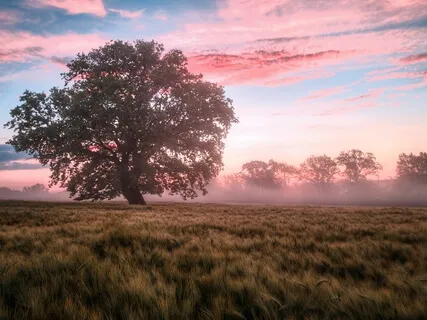 Breathing In Light & Healing