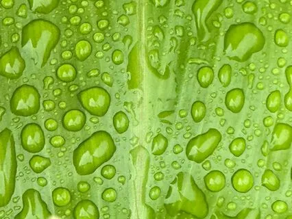 Breathing In Light And Love