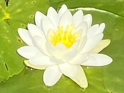 Breathing In The Holy Spirit