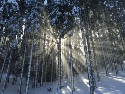 Breathing In The Light