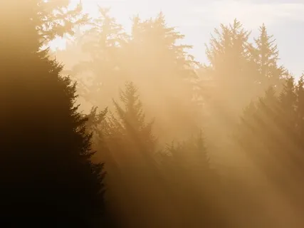 Breathing In The Light