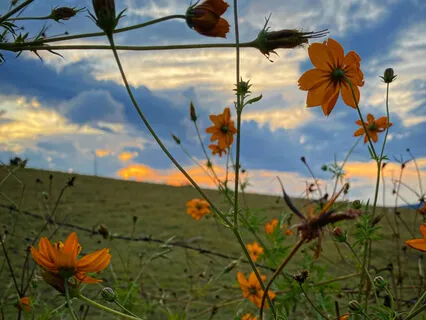 Breathing In The Moment