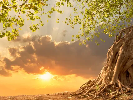 Breathing In Unconditional Love