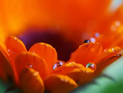 Breathing into Balance: Part 1