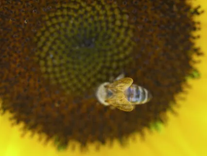 Breathing into Balance: Part 2