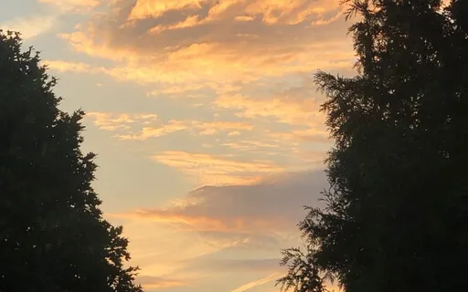 Breathing Into Calm - Box Breathing