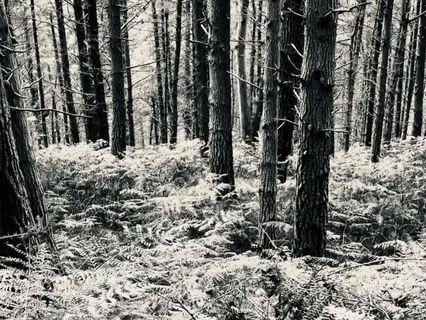 Breathing Into Calm | Guided Breathwork To Relax And Reset