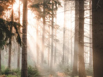 Breathing Into Fear And Changing The Story