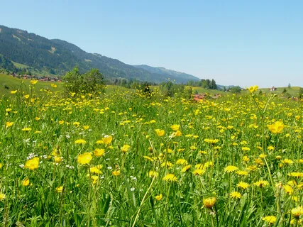 Breathing Into Relaxation