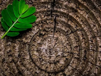 Breathing Into Stillness 