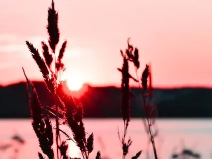 Breathing Into Stillness: 5 Mins To Calm