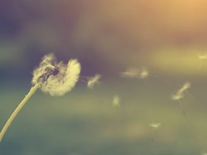 Breathing Into Stillness: A Meditation On Mindful Presence