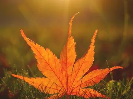 Breathing Into The Law Of Attraction