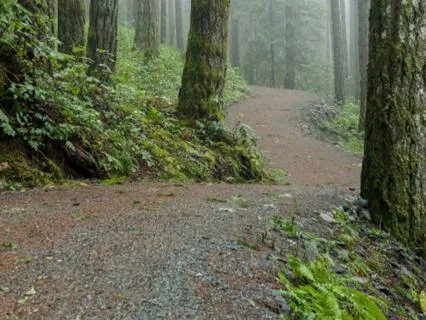 Breathing Into Uncertainty