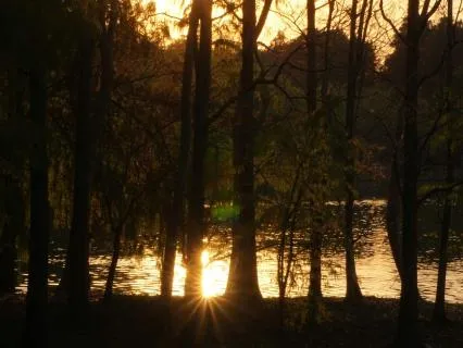 Breathing Into Yoga Nidra