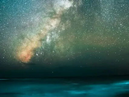 Breathing Into Your Ideal Reality