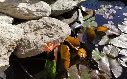 Breathing Into Your Inner Child