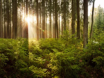 Breathing Is An Exchange