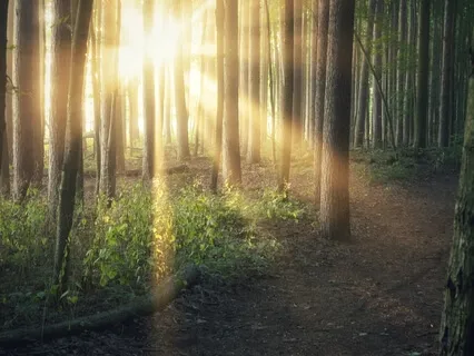 Breathing - Just Sitting, Watching Your Breath Come & Go