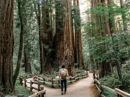 Breathing Life Into Your Years