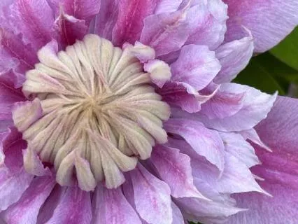 Breathing Love Into The Heart In Four Directions