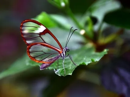 Breathing Love Through The Body