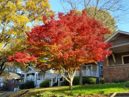 Breathing Meditation