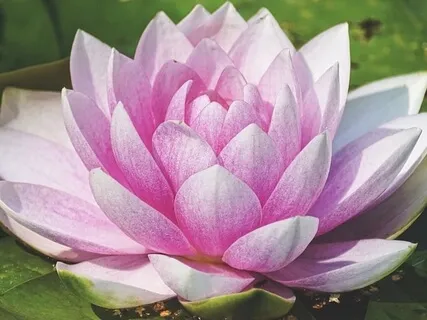 Focused Breathing Practice