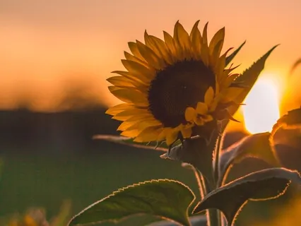 Breathing & Body Awareness